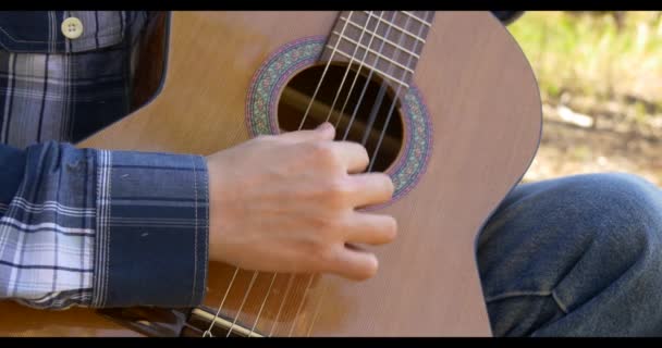 Νεαρός παίζει κλασσική κιθάρα στο πευκόφυτο δάσος — Αρχείο Βίντεο