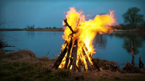 Lägerelden på stranden av floden. Kvällstid — Stockvideo