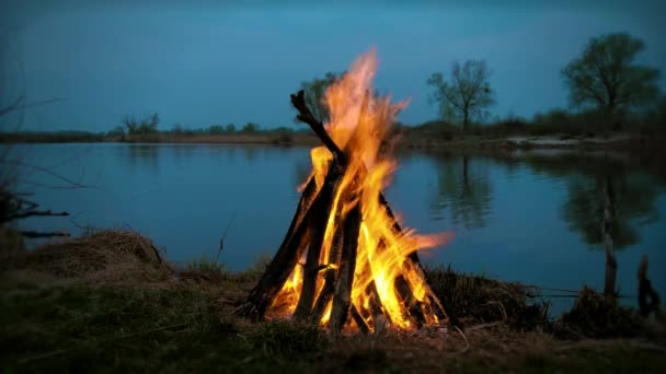 Un falò sulla riva del fiume. Ora di sera — Video Stock