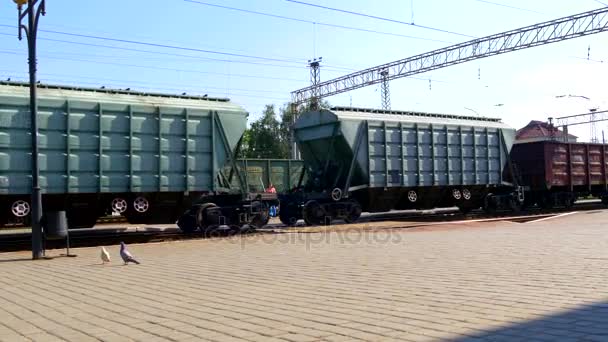Грузовой поезд (вагоны, вагоны) на железнодорожном вокзале. Голуби ходят по земле — стоковое видео