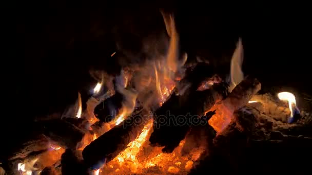 Fogata de noche, Primer plano, Macro, Fuego ardiente, sonidos crepitantes, chispas — Vídeo de stock