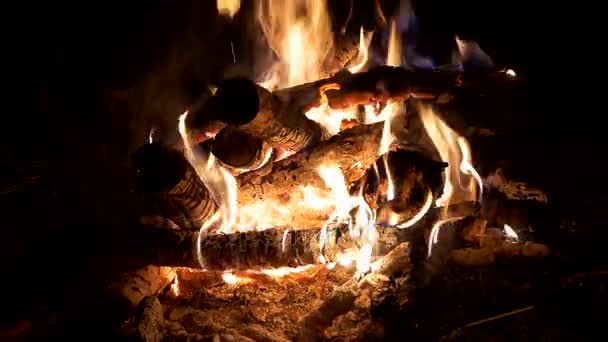 Fogueira à noite, Macro, Fogo ardente, sons crepitantes, faíscas — Vídeo de Stock