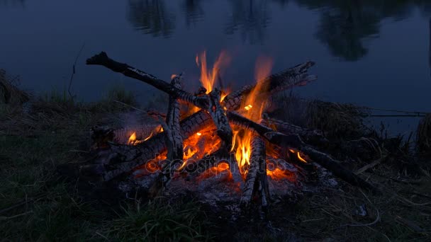 Feu de camp près de l'eau. Heure de la rivière soir — Video