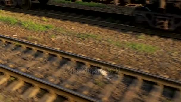 Railroad track, View from moving train, slowly stopping — Stock Video