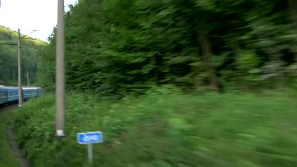 Fiume roccioso di montagna, montagne dei Carpazi, foresta, alberi (Vista dalla finestra del treno in movimento ) — Video Stock