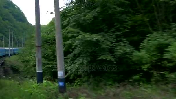 Xesco rivier, Karpaten, bos, bomen (uitzicht uit het raam van het verplaatsen van de trein) — Stockvideo