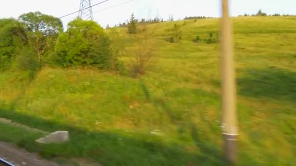 Blick aus dem Fenster eines fahrenden Zuges - Bahngleise, Ebenen, Wald — Stockvideo