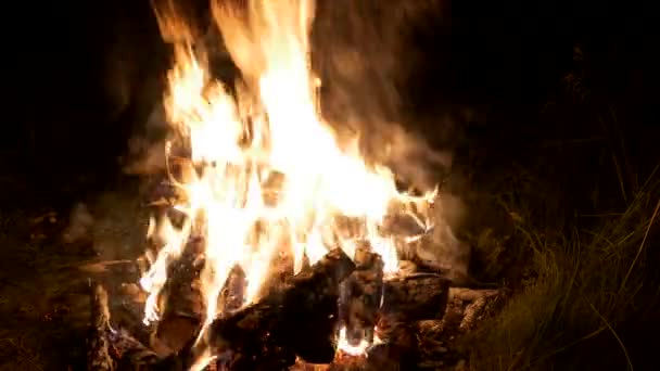 Feu de camp la nuit tombant, Feu brûlant, bruits crépitants, étincelles — Video