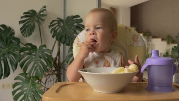 Netter kleiner Junge isst Maisstäbchen — Stockvideo