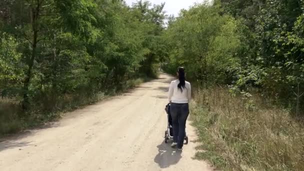 Matka pcha wózek na wiejskiej drodze w kierunku lasu — Wideo stockowe