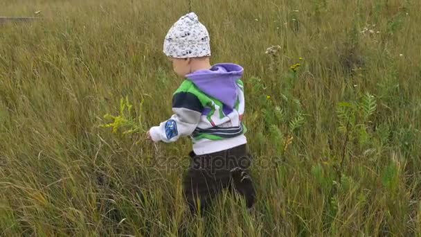 Pequeño niño se arrastra en la hierba — Vídeos de Stock