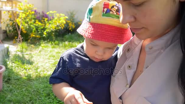 A mãe dá framboesa ao filho. Menino come bagas — Vídeo de Stock