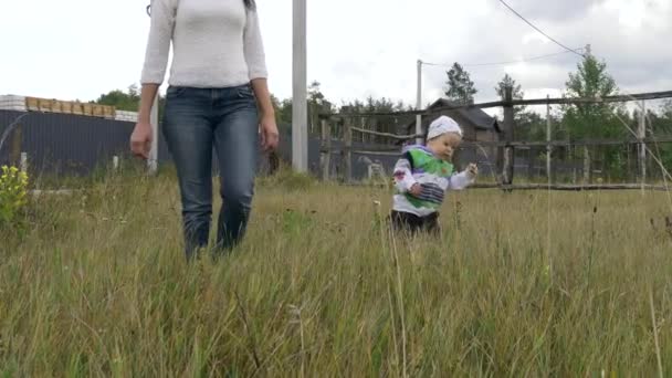 Little boy walks through grass, falls. Mother helps to get up — Stock Video