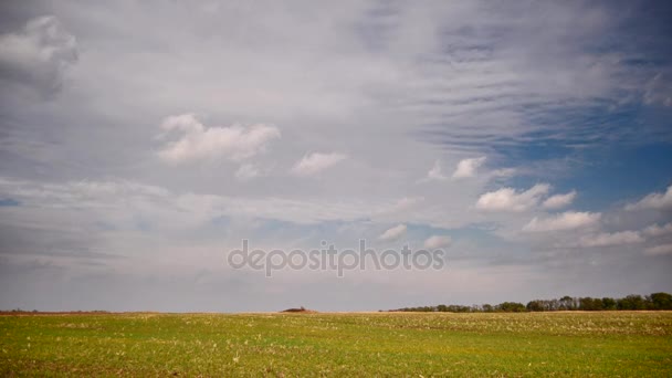 Nubes moviéndose rápidamente por encima del campo. El lapso de tiempo. Otoño — Vídeo de stock