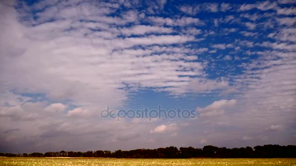 Nubes blancas sobre el campo. Tiempo de otoño.Time lapse — Vídeo de stock