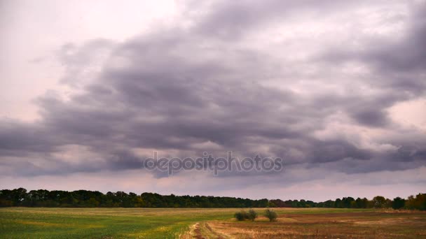 Weg in het veld. Regenachtige wolken. Time-lapse — Stockvideo