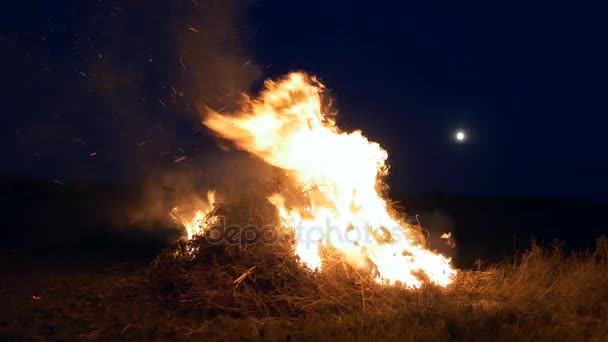 Fuego. Luna en el fondo. Hoguera grande en el campo — Vídeos de Stock