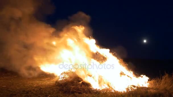 Fire. Moon on background. Large Bonfire in the field — Stock Video