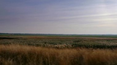 Journey ovalar Across. Avrasya bozkır. Ukrayna. Avrupa. Sonbahar