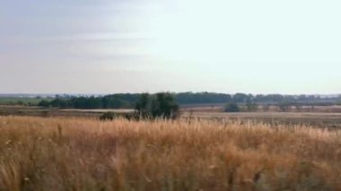 Journey ovalar Across. Avrasya bozkır. Ukrayna. Avrupa. Sonbahar