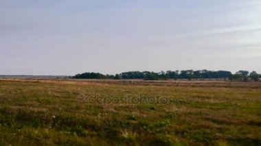 Journey ovalar Across. Avrasya bozkır. Ukrayna. Avrupa. Sonbahar