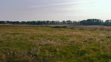 Journey ovalar Across. Avrasya bozkır. Ukrayna. Avrupa. Sonbahar