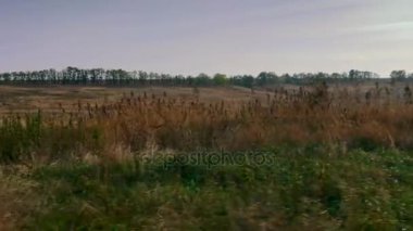 Journey ovalar Across. Avrasya bozkır. Ukrayna. Avrupa. Sonbahar