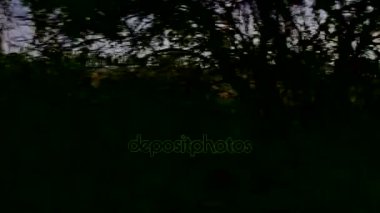 Journey ovalar Across. Avrasya bozkır. Ukrayna. Avrupa. Sonbahar