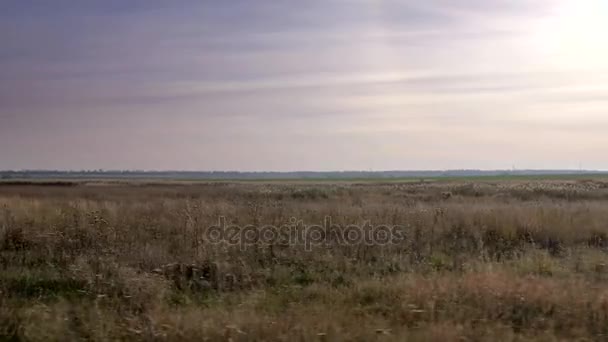 Voyage à travers les plaines. La steppe eurasienne. Ukraine. L'Europe. Automne 