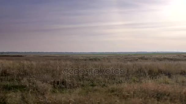 Viaje Través Las Llanuras Estepa Euroasiática Ucrania Europa Otoño — Vídeo de stock