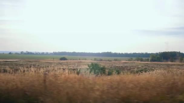 Voyage Travers Les Plaines Steppe Eurasienne Ukraine Europe Automne — Video