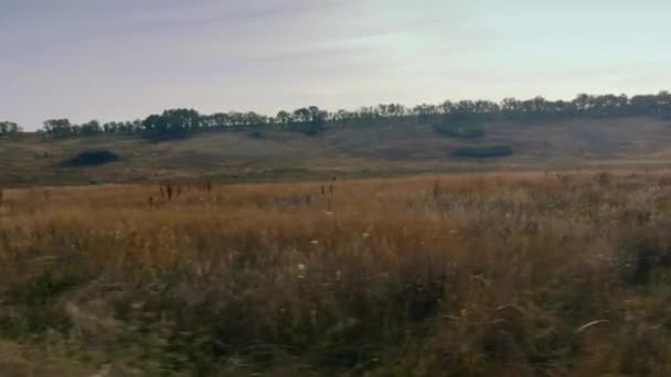 Подорож Через Рівнини Євразійський Степ Україна Європи Осінь — стокове відео