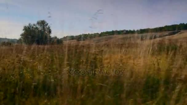 Podróż Przez Równiny Stepy Eurazji Ukraina Europie Jesień — Wideo stockowe