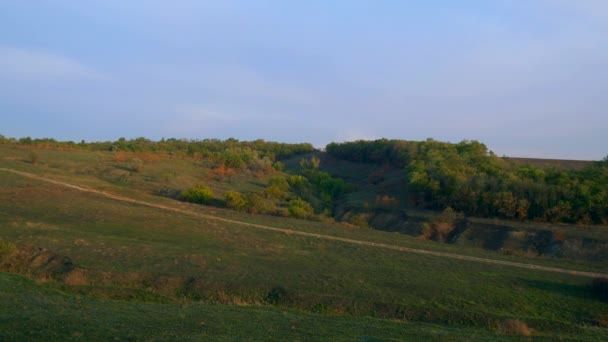 Árvores Colina Green Grass Valley Ravine Manhã Verão — Vídeo de Stock