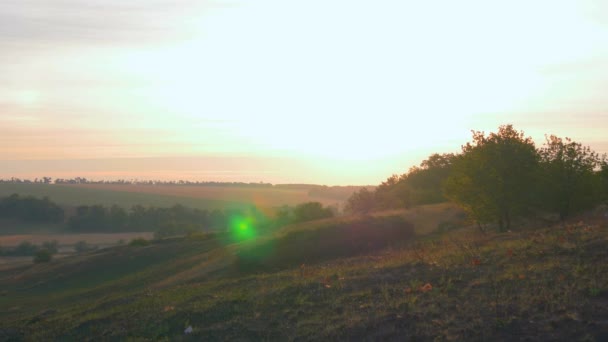 Sunrise Heuvels Vallei Euraziatische Steppe Oekraïne Zomer Herfst Velden Bomen — Stockvideo