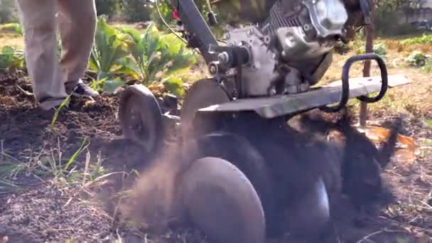 ハンド トラクター トラクターの歩行が付いている土を耕します クローズ アップ — ストック動画
