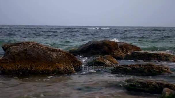 Zwarte Zee Stenen Oever Water Golven — Stockvideo