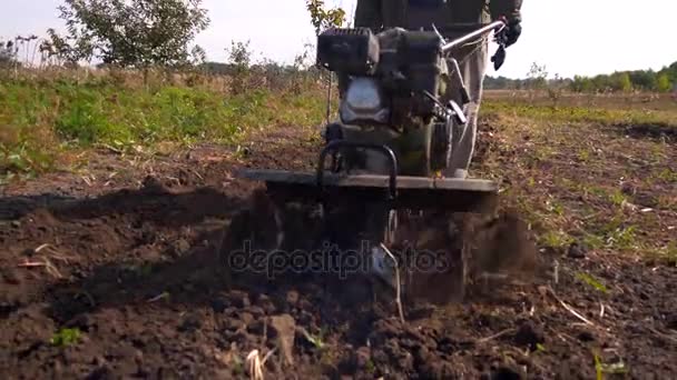 Mann Bearbeitet Boden Mit Handtraktor Lauftraktor Land Bauernhof Landwirtschaft — Stockvideo