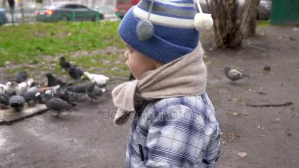 Old Woman Shows Toddler How Feed Pigeons Slow Motion Autumn — Stock Video