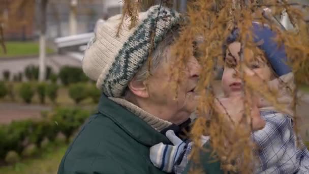 Great Grandmother Holds Hands Her Great Grandson Slow Motion Winter — Stock Video