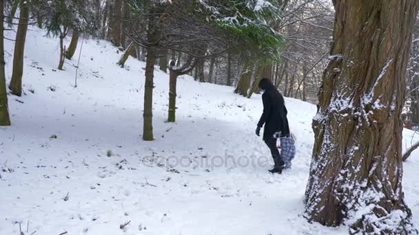 Feliz Madre Hijo Caminan Juegan Parque Árboles Cubiertos Nieve Movimiento — Vídeos de Stock
