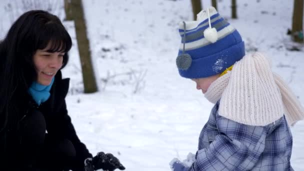 Mãe Filho Felizes Caminham Brincam Parque Árvores Cobertas Neve Movimento — Vídeo de Stock