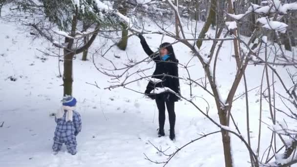 快乐的母亲和孩子在公园里散步和玩耍 白雪覆盖的树木 慢动作 — 图库视频影像