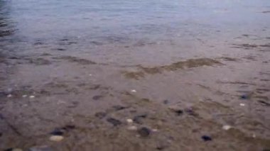 Deniz kıyısı. Dalgalar parlak güneşli yaz günü. Karadeniz Odessa Ukrayna