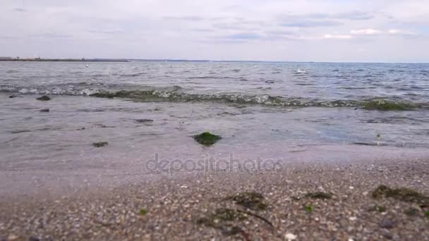 Seashore Golven Heldere Zonnige Zomerdag Zwarte Zee Odessa Oekraïne — Stockvideo