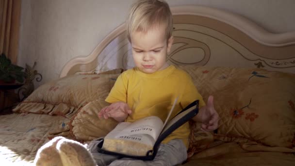 Niño Pequeño Sienta Con Biblia Cama Dormitorio Abre Libro Vuelta — Vídeo de stock