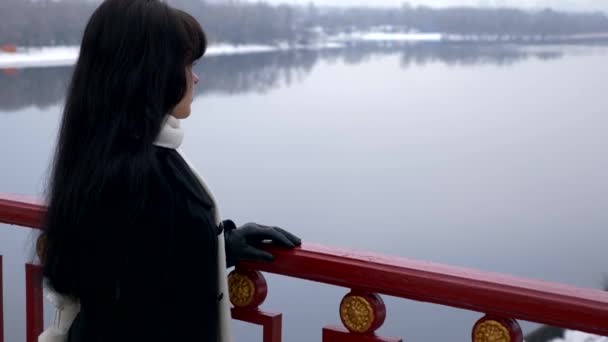 美丽的黑发站在桥以上的河流思考和展望未来 慢动作冬季 — 图库视频影像