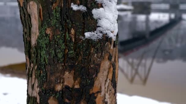 Beautiful Woman Sad Emotion Walks River Bank Thinking Winter Slow — Stock Video