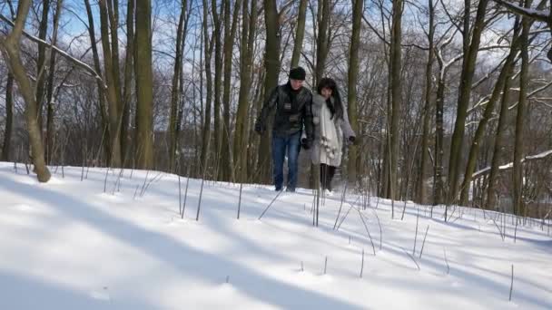 幸せなカップルが手を繋いでいる冬の公園で雪の上を歩きます スローモーション雪晴れた日 — ストック動画