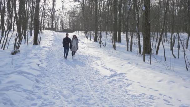 Gelukkige Paar Hand Hand Lopen Sneeuw Winter Park Slow Motion — Stockvideo